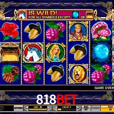818BET Rio de Janeiro - Professional Dealers